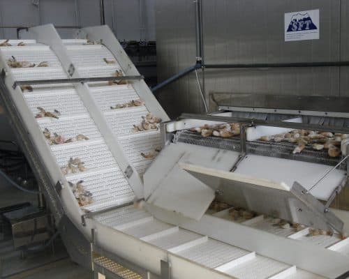 Process Automation